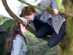 Summit's 'Twilight' a franchise with bite