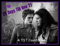 20 Days Till November 21!