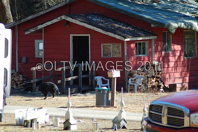 Pics Galore: All Kinds of "Breaking Dawn" Sets Being Prepped